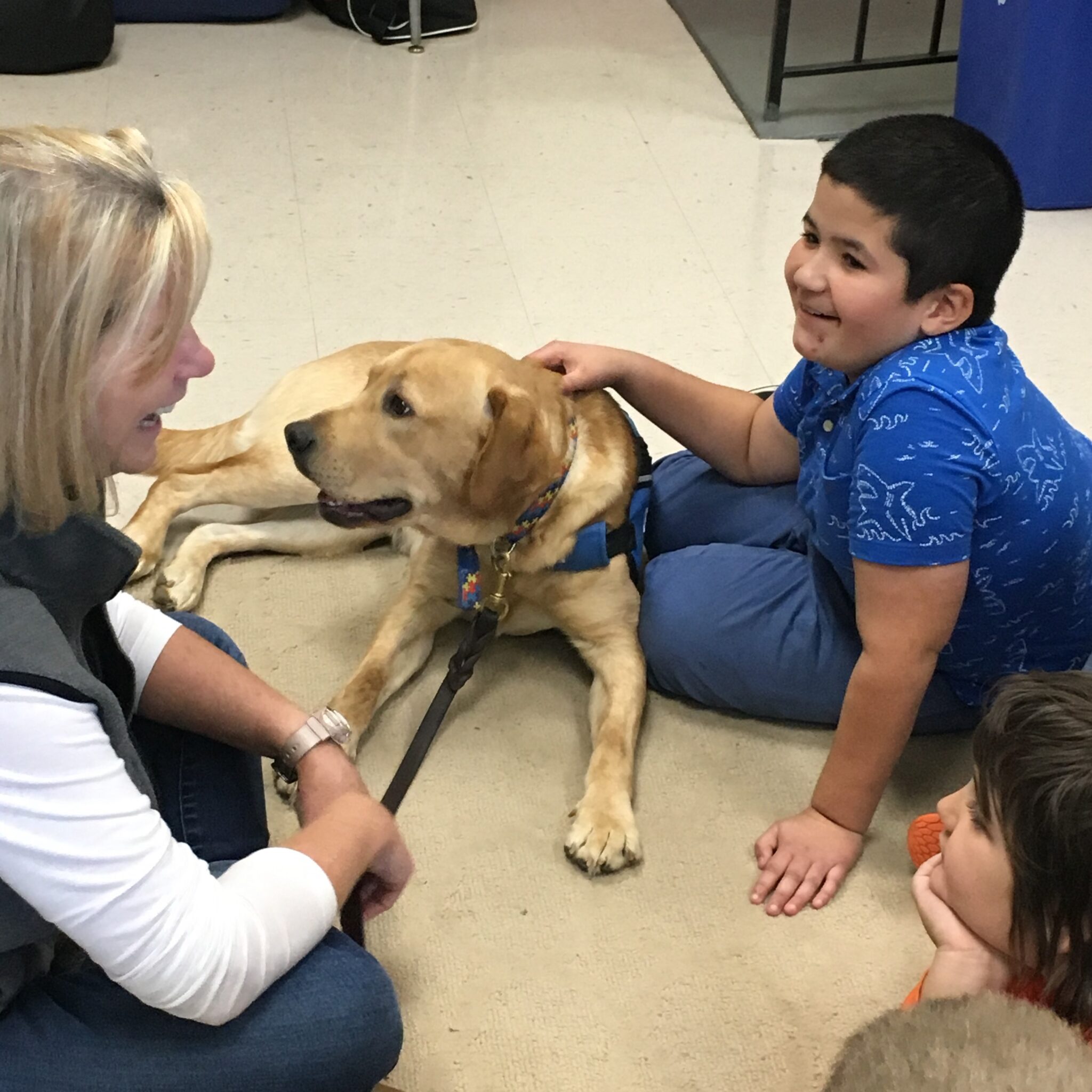 Facility Therapy Dogs - BluePath Service Dogs