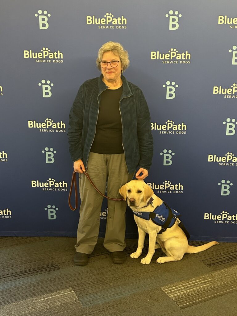 Woman with yellow labrador in vest