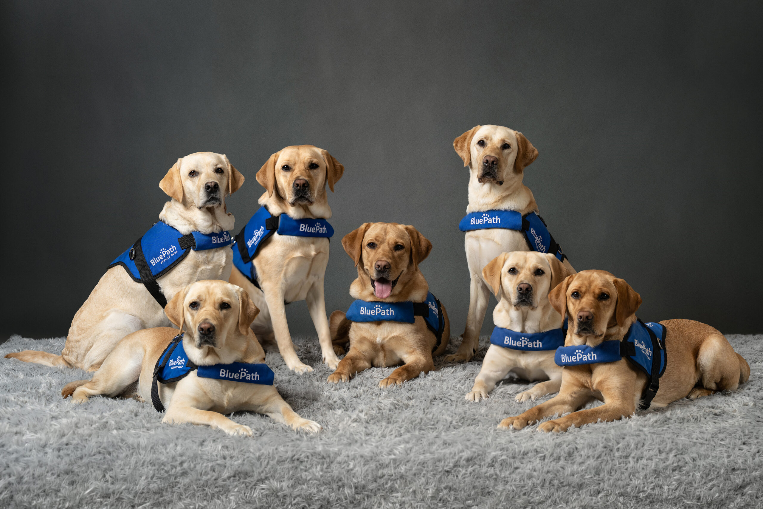 BluePath October 2026 Graduates
